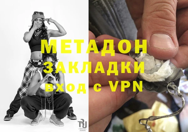 индика Новодвинск