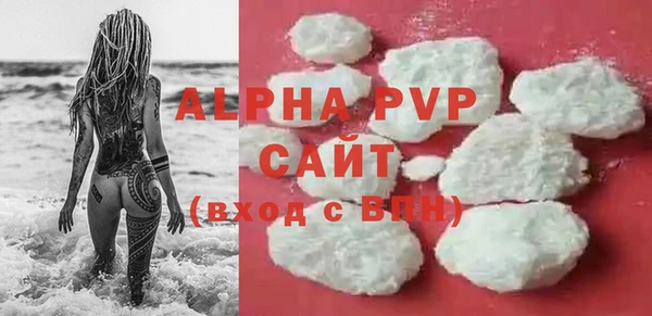 амф Новозыбков